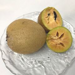 珍しい果物 沖縄県産 サポジラ　１キロ　Sapodilla