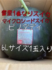 富里1番なりスイカ味きらら2Lサイズ2玉入り 富里1番なりスイカ味きらら2Lサイズ2玉入り - メルカリ