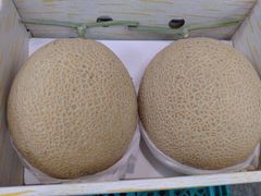 大玉マスクメロン　1箱（2玉入り）静岡県産