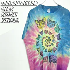 【US古着･90~00’s】FRUIT OF THE LOOM　フルーツオブザルーム　タイダイ柄　猫　プリントTシャツ　メンズ　サイズ表記2XL　3XL相当　マルチカラー