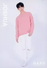 【中古】コレクションカード(男性) 024[ノーマルカード]：SEVENTEEN/JOSHUA(ジョシュア)/ノーマルカード/「SEVENTEEN 2019 JAPAN TOUR ’HARU’」トレーディングカード