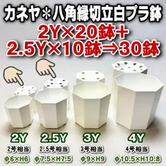 カネヤ＊八角鉢縁切立プラ鉢-2Y×20鉢＋2.5Y×10鉢⇒30鉢セット＊カネヤ兼弥産業＊多肉植物・塊根植物コーデックス・アガベ・サボテン・盆栽・観葉・ハオルチア・アデニウム・パキポディウム・実生＠フラワーショップ江口のサムネイル