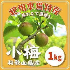 ☆和歌山県産[紀州南高梅]1kg☆最高級品種‼️L〜3Lサイズ混合‼️秀品