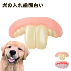 犬の入れ歯面白い 犬の入れ歯の歯 犬用面白い入れ歯 ペット犬入れ歯おもちゃ 犬用の入れ歯 クリエイティブユーモラスな耐久性のある耐引裂