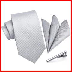 【特売】[ヒスデン] 結婚式 ネクタイメンズ シルバー ネクタイ チーフ タイクリップ 3点セット フォーマル ビジネス 高級 ギフトボックス付き 婚礼 紳士 礼服 入学式 卒業式 TA-002S