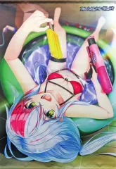 【中古】タペストリー [単品] デスペラード B2タペストリー 「PS4/Switchソフト RE：D Cherish! Amazon.co.jp限定セット」 同梱特典