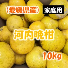 愛媛県産【家庭用】河内晩柑（みしょうゴールド）１０ｋ　※訳ありより綺麗なものです。のサムネイル