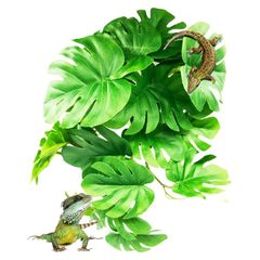 S.fields.inc 人工植物 爬虫類ケージ用 ビバリウム 水槽 葉 両生類 カメ カエル 吸盤付き ペット用品 (モンステラ) 0