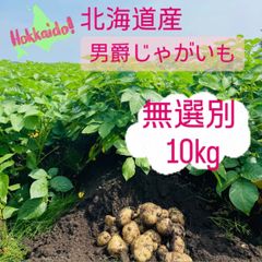 北海道　じゃがいも　10キロ 無選別
