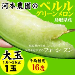 ☆7月上旬～中旬～予約順に収穫次第出荷大玉ペルルグリーンメロン (1玉入大玉1.6～2kg程度)［農家指定鳥取河本農園産］常温便
