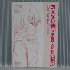 소설 그리워하지 않는 그녀의 기르는 방법 After "One Year Later" - Saekano How to Raise a Boring Girlfriend After "One Year Later" Novel