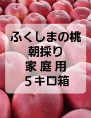ふくしまの桃　朝採り　家庭用　５キロ箱　品種おまかせ