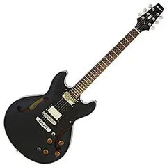 かなり希少　メルカリ便　ソフトケースariapro2 アリアプロツー　ta-61 アリアプロ2 zz デラックス aria pro2 エレキギター - メルカリ