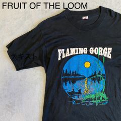 【FRUIT OF THE LOOM】90s　FLAMING GORGE　フレミングゴージ　プリントT アメリカ合衆国　USA製　レア　ラメプリント