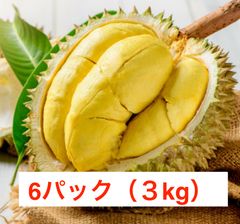 冷凍ドリアン500gram×4パック - ベトナム直送、新鮮で美味しい | 冷冻榴莲500克×4包 - 越南直送，新鲜美味 | Sầu Riêng  Đông Lạnh 500g×4 - メルカリ