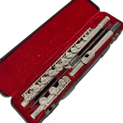 2025年最新】Maxtone フルートの人気アイテム - メルカリ