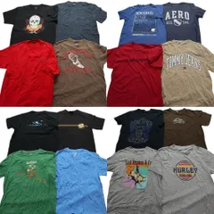 古着卸 まとめ売り ブランドMIX 半袖Tシャツ 16枚セット (メンズ Ｌ ) バンズ リーバイス ディッキーズ  中古 古着 NA2701