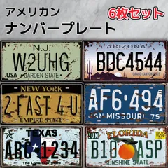 ナンバープレート ヴィンテージ調 アメリカン  6枚セット ブリキ看板 雑貨 インテリア アメリカ ガレージ
