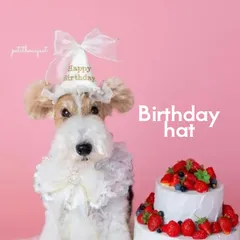 《for petバースデーハット》お誕生日　パーティーハット　犬帽子　クラウン　王冠　誕生日　うちの子　うちのこ記念日 バースデーハット　ポンポンハット　ペットクラウン　犬　うちのこ　わんこ　ケープ　スタイ　ペットクラウン