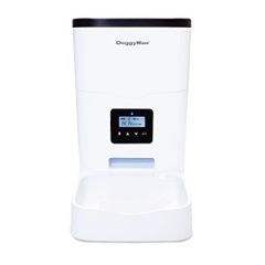 Item thumbnail for item c800430e-5495-4321-8745-5a5e28caff29