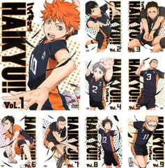 【訳あり】ハイキュー!!(9枚セット)第1話～第25話 最終 ※センターホール割れ【全巻 アニメ 中古 DVD】レンタル落ち