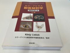 ☆カラーアトラス 獣医解剖学　増増改訂第2版