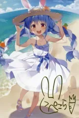 2025年最新】兎田ぺこら 活動二周年記念 活動二周年記念フルセットの