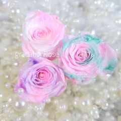 グラデーションローズ*.❁3輪　花材　プリザーブドフラワー