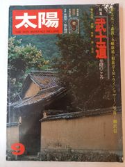 ウルトラジャンプ 1997年1月1日増刊号 No.07 表紙：村田蓮爾