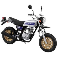 アオシマ プラモデル 1/12 ザ・バイク No.41 ホンダ HC07 エイプ 100 Deluxe '08