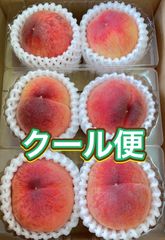 温室もも　日川白鳳　桃　ピーチ