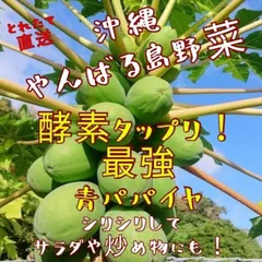 最強島野菜！！沖縄産パパイヤちょこっとお試し1.5kgサラダや炒め物、カレーやお味噌に！！のサムネイル