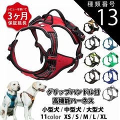 Item thumbnail for item 54bf6268-dc4e-45d5-9a03-631d4ef0749c