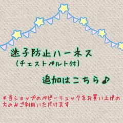 迷子防止ハーネス(チェストベルト付)追加はこちらから♪
