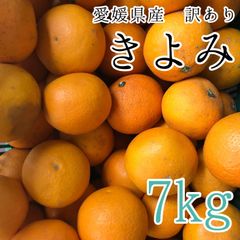 愛媛県産 きよみ 7kg 1799円 訳あり家庭用 柑橘