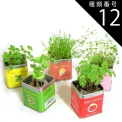 種類12:-/レタス 栽培 栽培セット 栽培キット 野菜 ハーブ 送料無料 室内 子供 野菜 おうちで栽培 おうちでガーデニング 家庭菜園 自由研究 観察 初心者向け 室内 おうち時間 巣ごもり インテリア おしゃれ
