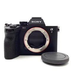 2025年最新】α7IV ストラップの人気アイテム - メルカリ