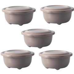 250ml ベージュ 5個組 日本製 食洗機対応 レンジでふっくらごはん 冷凍 冷蔵庫 タケヤ化学工業(Takeya) 106910