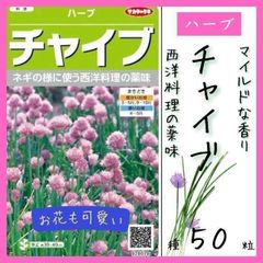 【ハーブの種】アサツキに似た香り「チャイブ」５０粒～お花も可愛く寄せ植えにも◎～