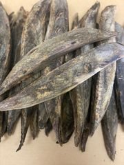 1名様限定　１箱5kg  枕崎産　荒本鰹節表面削り