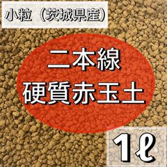 ⭐︎二本線硬質赤玉土　小粒⭐︎ 1ℓ 小粒 多肉植物 サボテン 観葉植物 土
