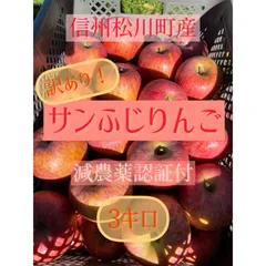 2024年最新】サンふじ 蜜入りの人気アイテム - メルカリ