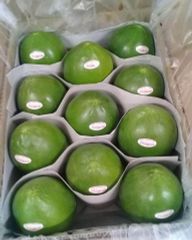 野菜セット４　[5月29日木曜日に入荷予定、入荷次第出荷]　生鮮  5kg野菜パパイヤ + 10kgニンニク + 10ライム + 5kg生姜 特選
