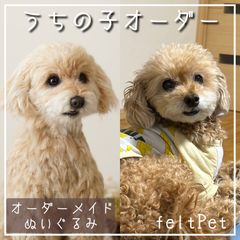 【オーダーメイド】羊毛フェルト,大サイズ,ぬいぐるみ