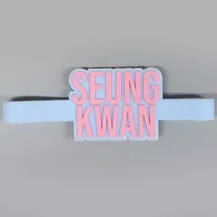 2025年最新】seventeen ペンライトアクセサリー スングァンの人気