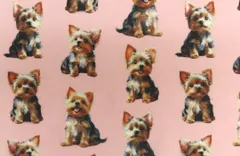 【ゆきちゃん限定】X1491 ヨーキー ピンク コットン生地 1m