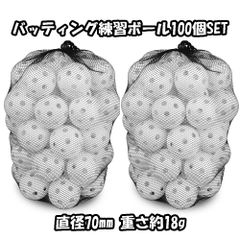 バッティング練習 ボール100個入り フィールドフォース FBB-50W