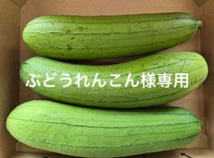 ぶどうれんこん様　専用ページ