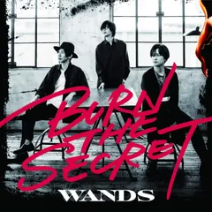 2025年最新】WANDS第5期の人気アイテム - メルカリ