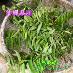 沖縄県産 無農薬 生 紫ウコン1kg 無くなり次第終了 - メルカリ